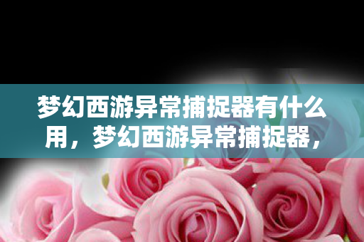 梦幻西游异常捕捉器有什么用，梦幻西游异常捕捉器，守护游戏安全的科技利器