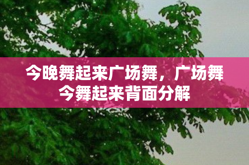 今晚舞起来广场舞,广场舞今舞起来背面分解 今晚舞起来广场舞,广场舞今舞起来背面分解