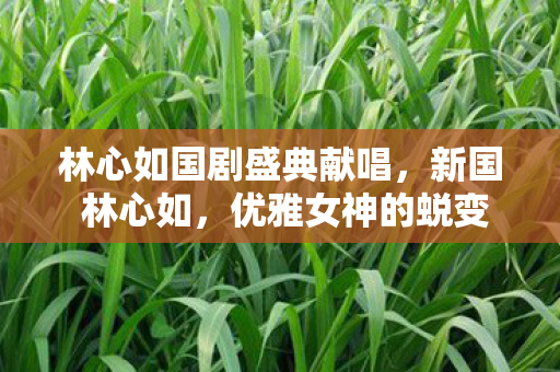 林心如国剧盛典献唱,新国 林心如,优雅女神的蜕变之路 林心如国剧盛典献唱,新国 林心如,优雅女神的蜕变之路
