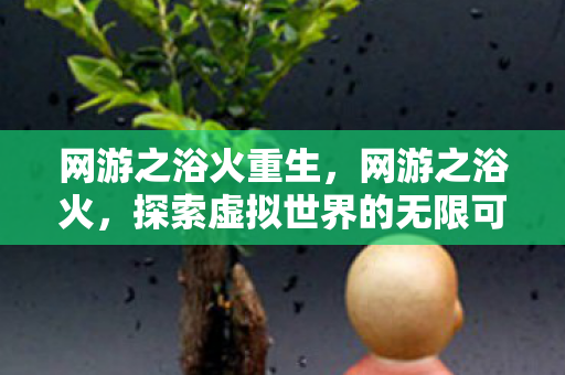 网游之浴火重生,网游之浴火,探索虚拟世界的无限可能 网游之浴火重生,网游之浴火,探索虚拟世界的无限可能