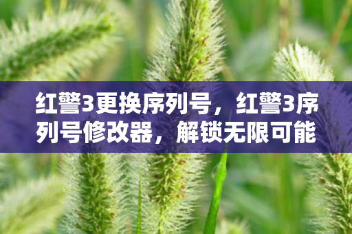 红警3更换序列号,红警3序列号修改器,解锁无限可能的秘密武器 红警3更换序列号,红警3序列号修改器,解锁无限可能的秘密武器