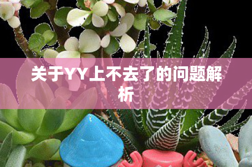 关于YY上不去了的问题解析 关于YY上不去了的问题解析