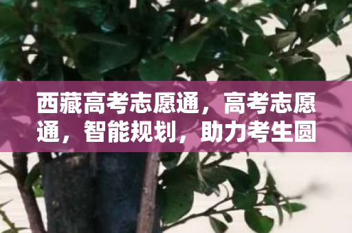 西藏高考志愿通,高考志愿通,智能规划,助力考生圆梦未来 西藏高考志愿通,高考志愿通,智能规划,助力考生圆梦未来