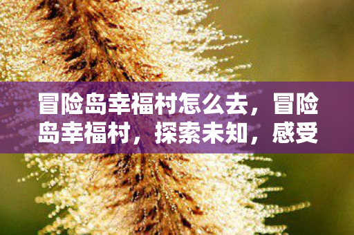 冒险岛幸福村怎么去,冒险岛幸福村,探索未知,感受温馨 冒险岛幸福村怎么去,冒险岛幸福村,探索未知,感受温馨