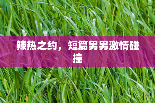 辣热之约,短篇男男激情碰撞 辣热之约,短篇男男激情碰撞
