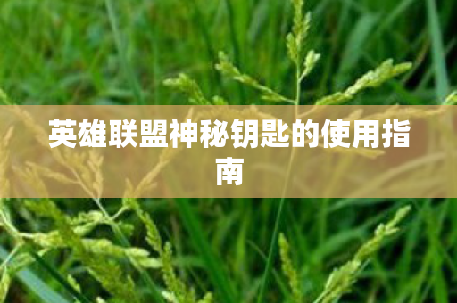 英雄联盟神秘钥匙的使用指南 英雄联盟神秘钥匙的使用指南
