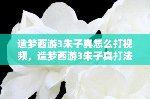 造梦西游3朱子真怎么打视频,造梦西游3朱子真打法攻略 造梦西游3朱子真怎么打视频,造梦西游3朱子真打法攻略