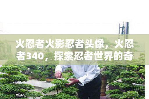 火忍者火影忍者头像，火忍者340，探索忍者世界的奇幻之旅