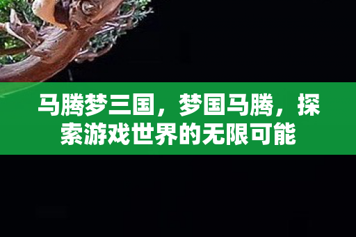 马腾梦三国，梦国马腾，探索游戏世界的无限可能