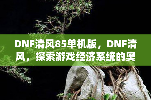 DNF清风85单机版,DNF清风,探索游戏经济系统的奥秘 DNF清风85单机版,DNF清风,探索游戏经济系统的奥秘