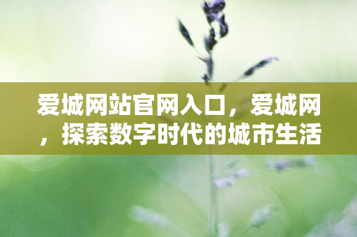 爱城网站官网入口,爱城网,探索数字时代的城市生活新图景 爱城网站官网入口,爱城网,探索数字时代的城市生活新图景