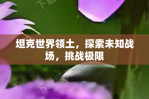 坦克世界领土,探索未知战场,挑战极限 坦克世界领土,探索未知战场,挑战极限