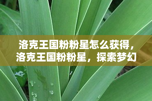 洛克王国粉粉星怎么获得，洛克王国粉粉星，探索梦幻王国的奇妙之旅