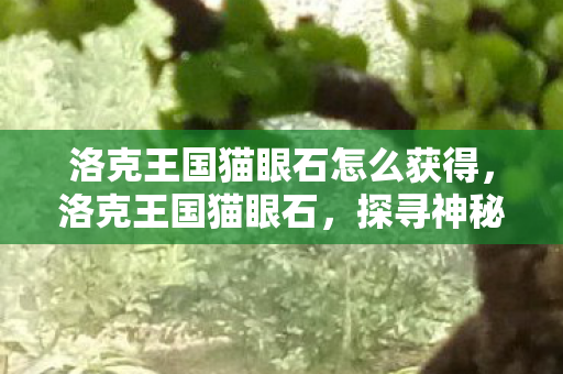 洛克王国猫眼石怎么获得，洛克王国猫眼石，探寻神秘宝石的奇幻之旅