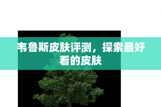 韦鲁斯皮肤评测,探索最好看的皮肤 韦鲁斯皮肤评测,探索最好看的皮肤
