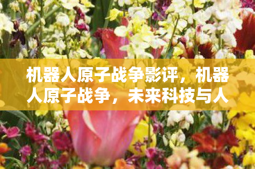 机器人原子战争影评，机器人原子战争，未来科技与人类智慧的碰撞