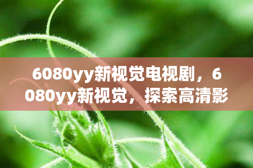 6080yy新视觉电视剧，6080yy新视觉，探索高清影视的无限可能