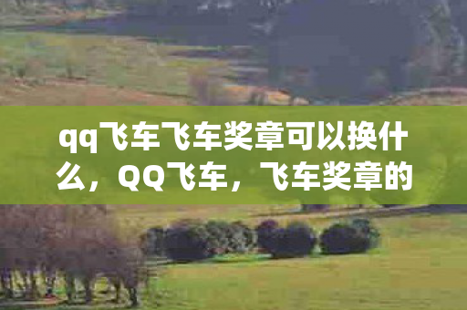 qq飞车飞车奖章可以换什么,QQ飞车,飞车奖章的荣耀与追求 qq飞车飞车奖章可以换什么,QQ飞车,飞车奖章的荣耀与追求