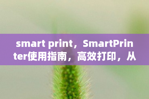 smart print,SmartPrinter使用指南,高效打印,从入门到精通 smart print,SmartPrinter使用指南,高效打印,从入门到精通