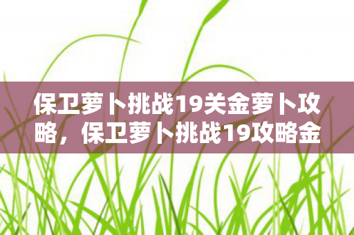 保卫萝卜挑战19关金萝卜攻略,保卫萝卜挑战19攻略金萝卜布阵图 保卫萝卜挑战19关金萝卜攻略,保卫萝卜挑战19攻略金萝卜布阵图
