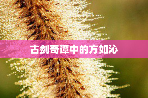 古剑奇谭中的方如沁 古剑奇谭中的方如沁
