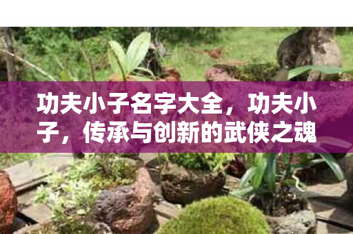 功夫小子名字大全,功夫小子,传承与创新的武侠之魂 功夫小子名字大全,功夫小子,传承与创新的武侠之魂