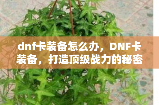 dnf卡装备怎么办,DNF卡装备,打造顶级战力的秘密武器 dnf卡装备怎么办,DNF卡装备,打造顶级战力的秘密武器