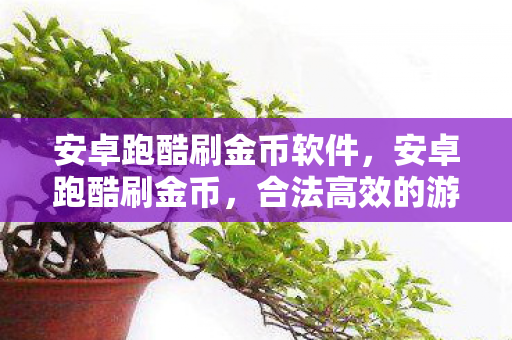 安卓跑酷刷金币软件,安卓跑酷刷金币,合法高效的游戏提升策略 安卓跑酷刷金币软件,安卓跑酷刷金币,合法高效的游戏提升策略