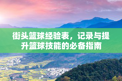 街头篮球经验表,记录与提升篮球技能的必备指南 街头篮球经验表,记录与提升篮球技能的必备指南
