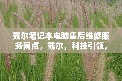 戴尔笔记本电脑售后维修服务网点,戴尔,科技引领,创新不止 戴尔笔记本电脑售后维修服务网点,戴尔,科技引领,创新不止