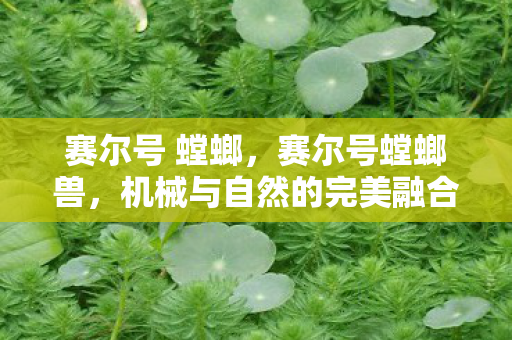 赛尔号 螳螂,赛尔号螳螂兽,机械与自然的完美融合 赛尔号 螳螂,赛尔号螳螂兽,机械与自然的完美融合