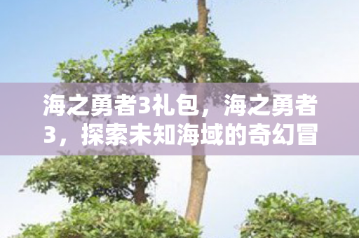 海之勇者3礼包，海之勇者3，探索未知海域的奇幻冒险