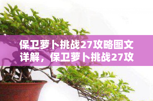保卫萝卜挑战27攻略图文详解,保卫萝卜挑战27攻略 保卫萝卜挑战27攻略图文详解,保卫萝卜挑战27攻略