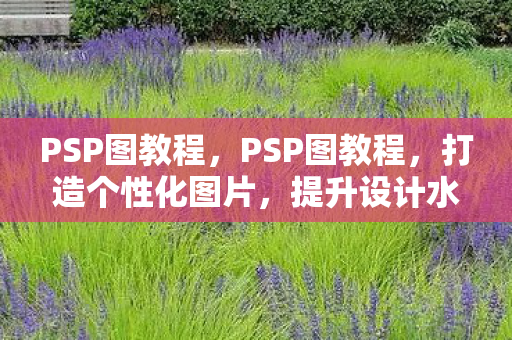 PSP图教程,PSP图教程,打造个性化图片,提升设计水平 PSP图教程,PSP图教程,打造个性化图片,提升设计水平