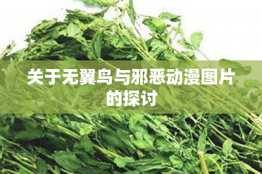 关于无翼鸟与邪恶动漫图片的探讨 关于无翼鸟与邪恶动漫图片的探讨