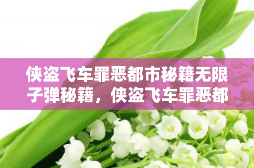 侠盗飞车罪恶都市秘籍无限子弹秘籍,侠盗飞车罪恶都市秘籍,解锁无限子弹的秘籍 侠盗飞车罪恶都市秘籍无限子弹秘籍,侠盗飞车罪恶都市秘籍,解锁无限子弹的秘籍