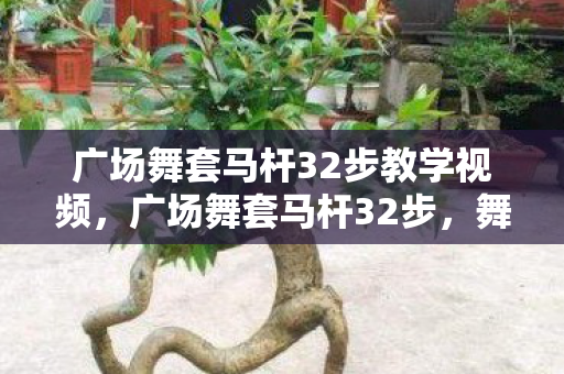 广场舞套马杆32步教学视频,广场舞套马杆32步,舞动生活的旋律 广场舞套马杆32步教学视频,广场舞套马杆32步,舞动生活的旋律