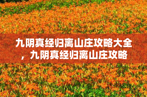九阴真经归离山庄攻略大全,九阴真经归离山庄攻略 九阴真经归离山庄攻略大全,九阴真经归离山庄攻略