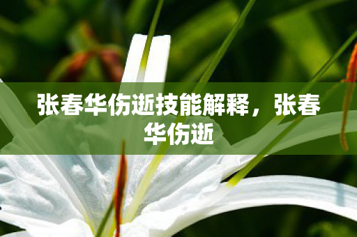 张春华伤逝技能解释,张春华伤逝 张春华伤逝技能解释,张春华伤逝