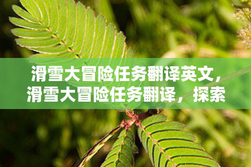 滑雪大冒险任务翻译英文,滑雪大冒险任务翻译,探索未知雪域,挑战极限速度 滑雪大冒险任务翻译英文,滑雪大冒险任务翻译,探索未知雪域,挑战极限速度