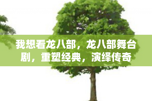 我想看龙八部，龙八部舞台剧，重塑经典，演绎传奇