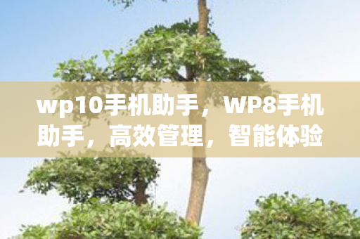 wp10手机助手,WP8手机助手,高效管理,智能体验 wp10手机助手,WP8手机助手,高效管理,智能体验