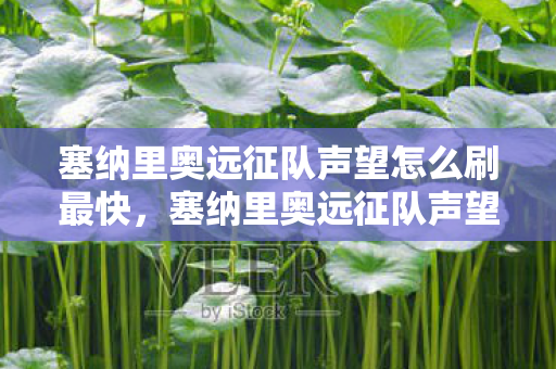 塞纳里奥远征队声望怎么刷最快,塞纳里奥远征队声望速刷攻略 塞纳里奥远征队声望怎么刷最快,塞纳里奥远征队声望速刷攻略
