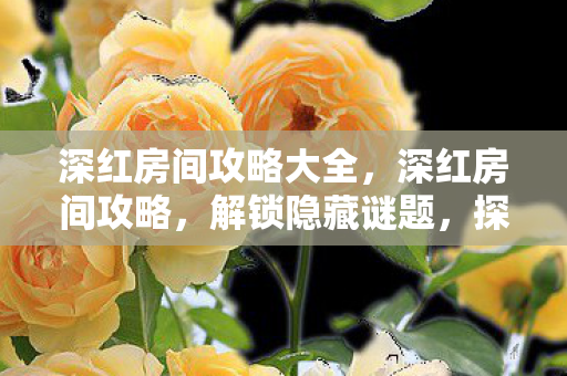 深红房间攻略大全,深红房间攻略,解锁隐藏谜题,探索神秘空间 深红房间攻略大全,深红房间攻略,解锁隐藏谜题,探索神秘空间
