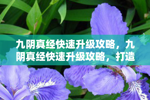 九阴真经快速升级攻略,九阴真经快速升级攻略,打造高效角色成长之路 九阴真经快速升级攻略,九阴真经快速升级攻略,打造高效角色成长之路