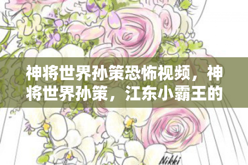 神将世界孙策恐怖视频，神将世界孙策，江东小霸王的战场风采