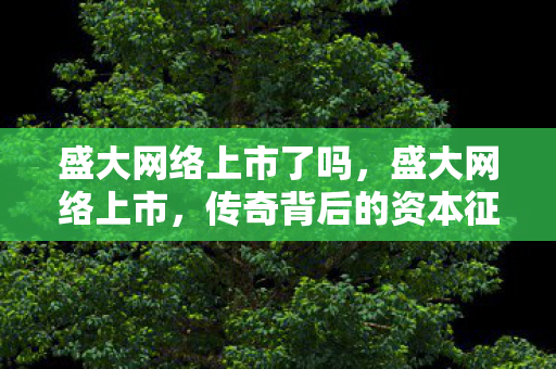 盛大网络上市了吗,盛大网络上市,传奇背后的资本征程 盛大网络上市了吗,盛大网络上市,传奇背后的资本征程