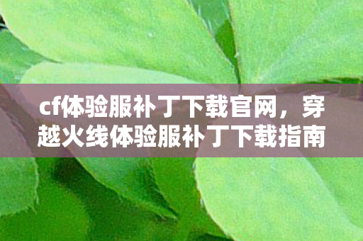 cf体验服补丁下载官网，穿越火线体验服补丁下载指南