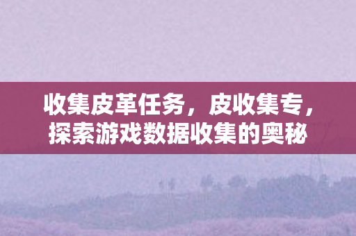 收集皮革任务，皮收集专，探索游戏数据收集的奥秘