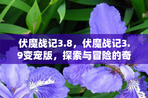 伏魔战记3.8,伏魔战记3.9变宠版,探索与冒险的奇幻之旅 伏魔战记3.8,伏魔战记3.9变宠版,探索与冒险的奇幻之旅